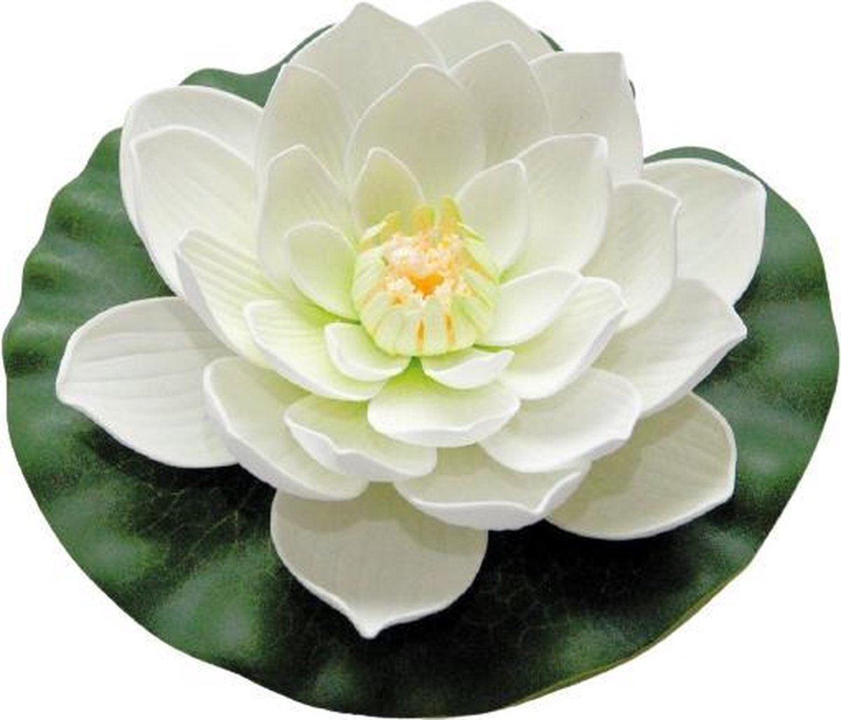 Velda Drijvende Vijverplant Lotus Wit 20 cm