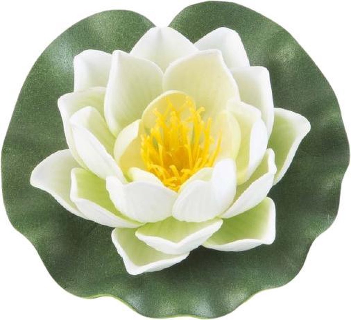 Velda Drijvende Vijverplant Lotus Wit 10 cm