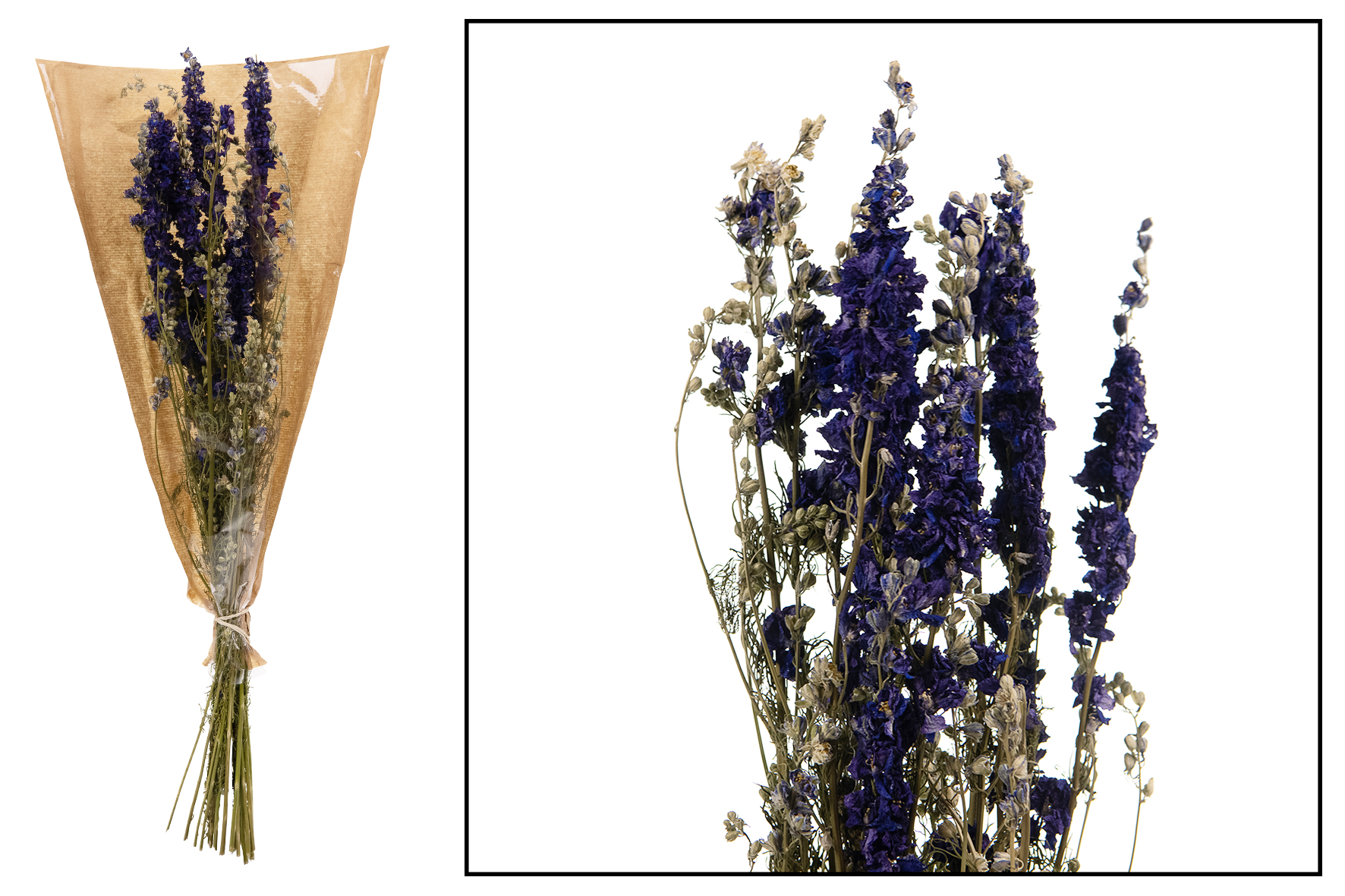 Droogbloemen boeket Delphinium - Blue