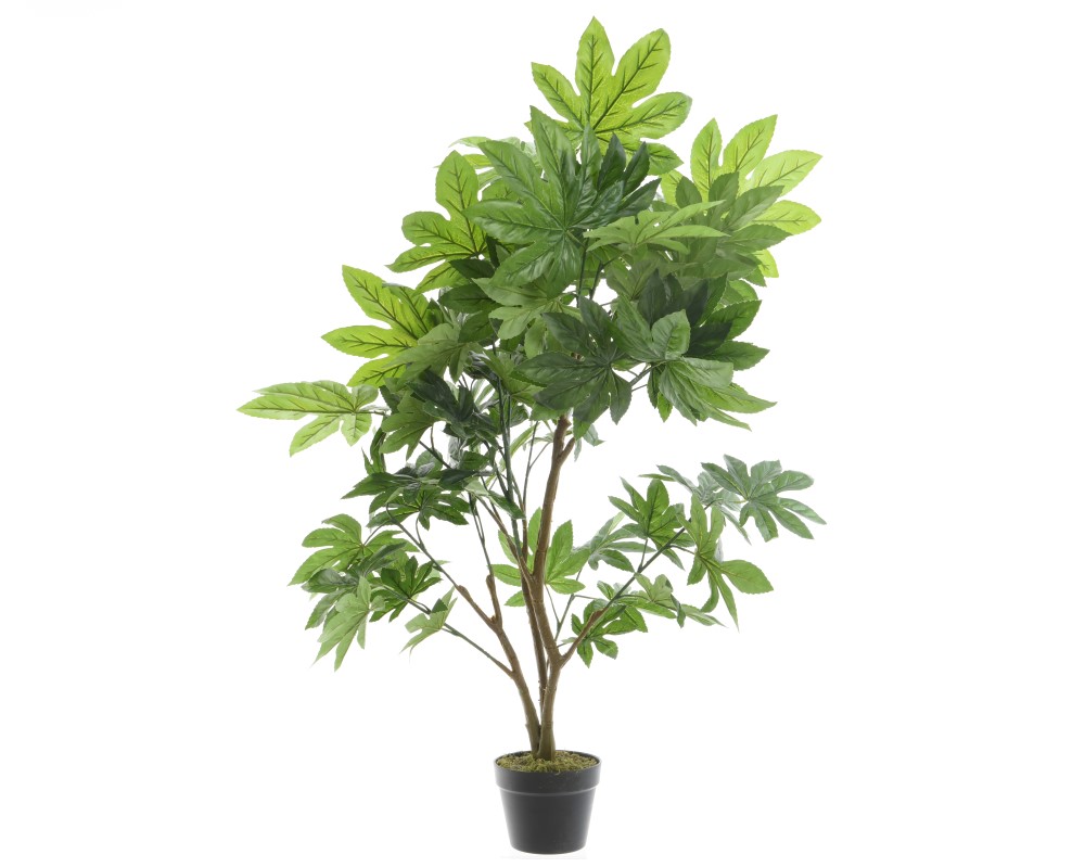 Kunstplant Aralia in Pot