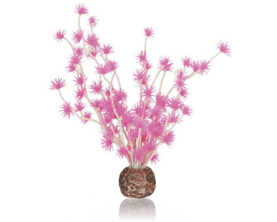 biOrb Bonsai Bal Roze