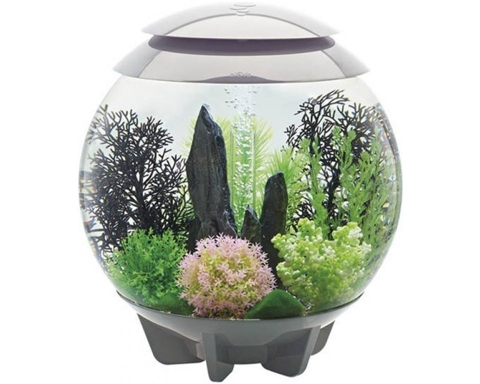 Afbeelding Aquarium biOrb Halo MCR 30 Liter Grijs door Haxo.nl