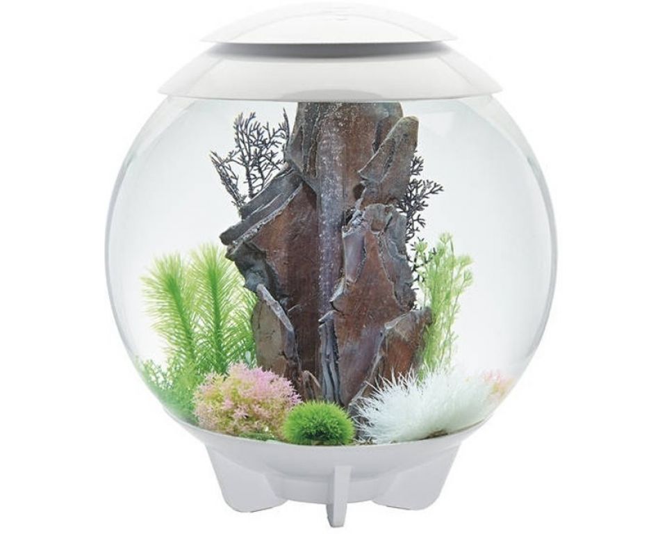 Aquarium biOrb Halo MCR 60 Liter Wit