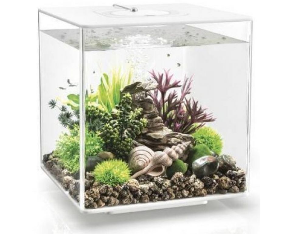 Aquarium biOrb Cube 30 LED Wit