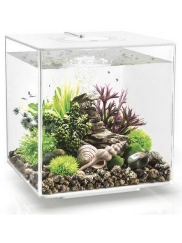 Aquarium biOrb Cube 60 LED Wit