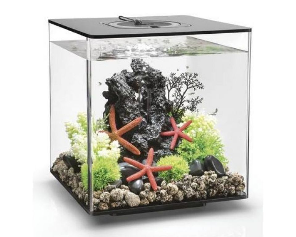 Aquarium biOrb Cube 30 LED Zwart