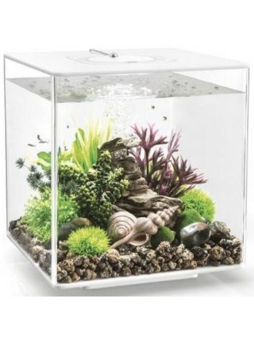 Aquarium biOrb Cube 30 MCR Wit