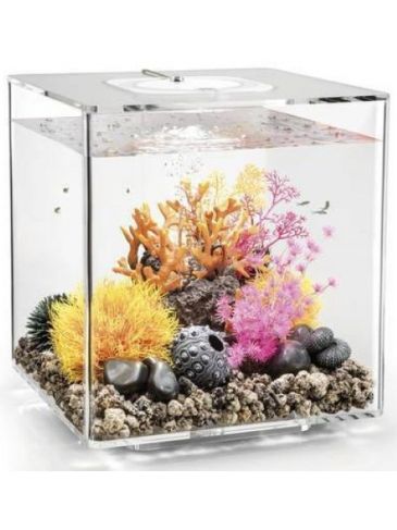 Aquarium biOrb Cube 30 LED Transparant