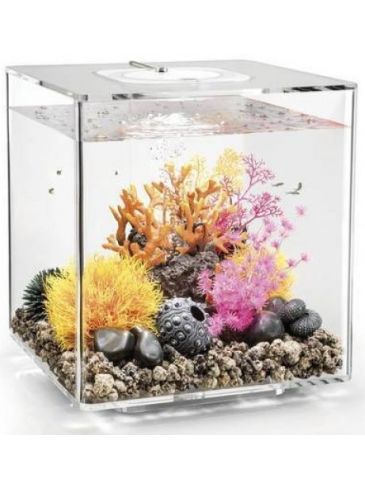 Afbeelding Aquarium biOrb Cube 30 MCR Transparant door Haxo.nl