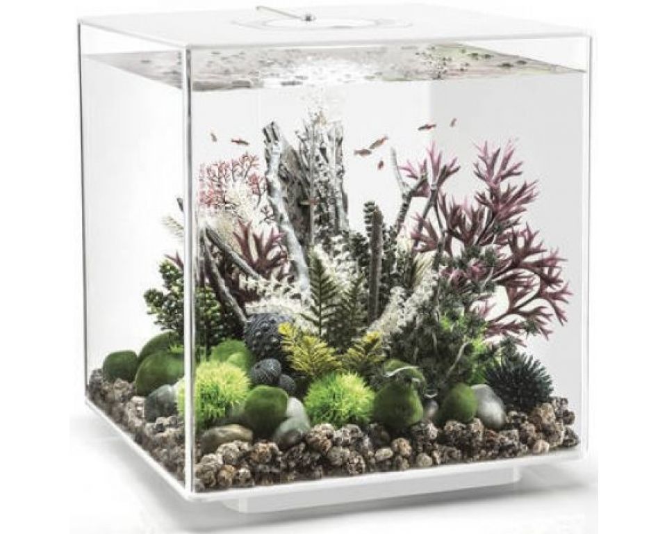 Aquarium biOrb Cube 60 MCR Wit