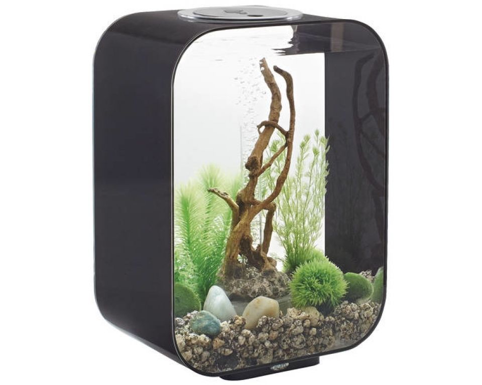 Afbeelding Aquarium biOrb Life MCR 15 Liter Zwart door Haxo.nl