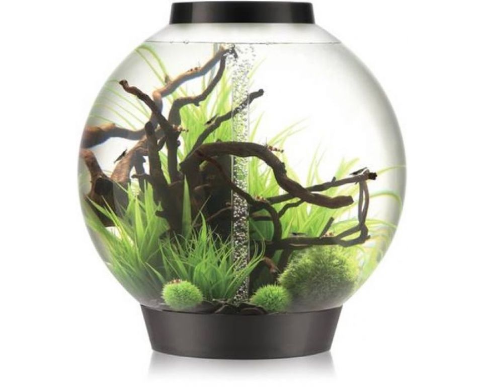 Aquarium biOrb Classic MCR 105 Liter Zwart