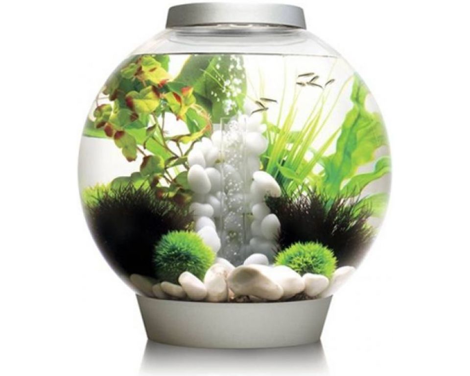 Afbeelding Aquarium biOrb classic MCR 30 liter zilver door Haxo.nl