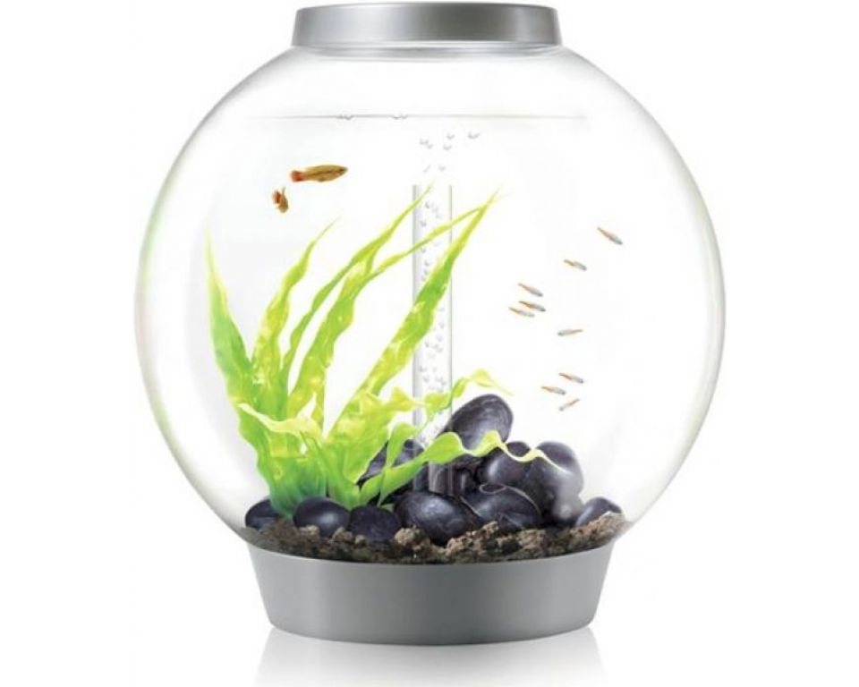 Aquarium biOrb Classic MCR 60 Liter Zilver