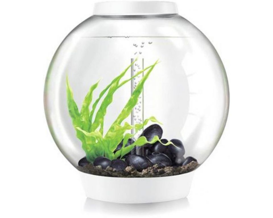 Aquarium biOrb Classic MCR 60 Liter Wit