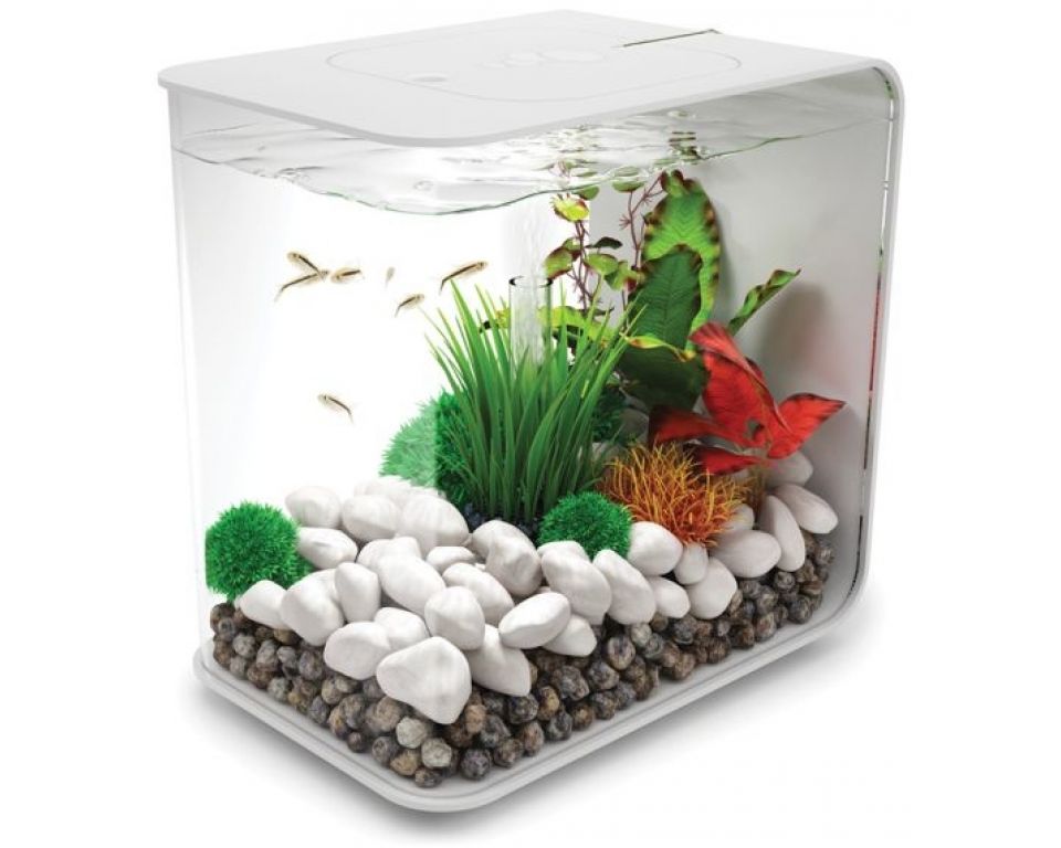 Afbeelding Aquarium biOrb Flow MCR 15 Liter Zwart door Haxo.nl