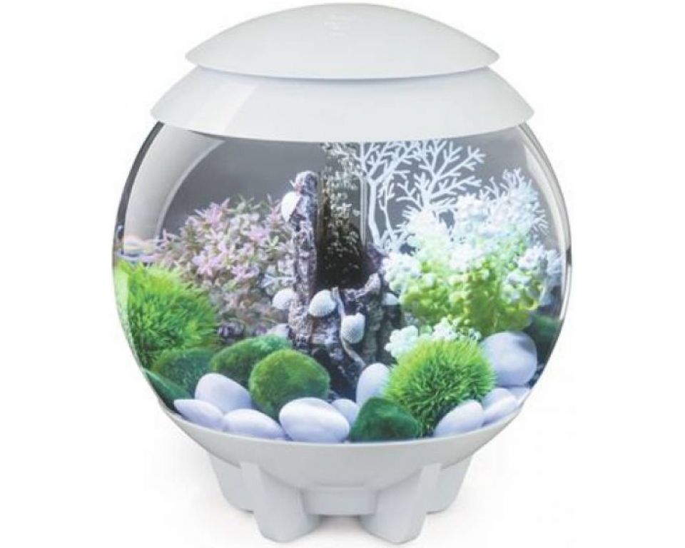 Aquarium biOrb Halo MCR 15 Liter Wit