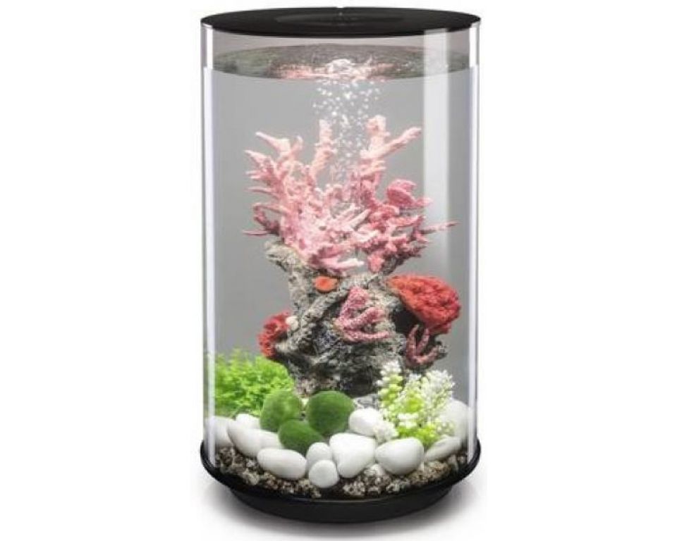 Afbeelding Aquarium biOrb Tube LED 30 Liter Zwart door Haxo.nl