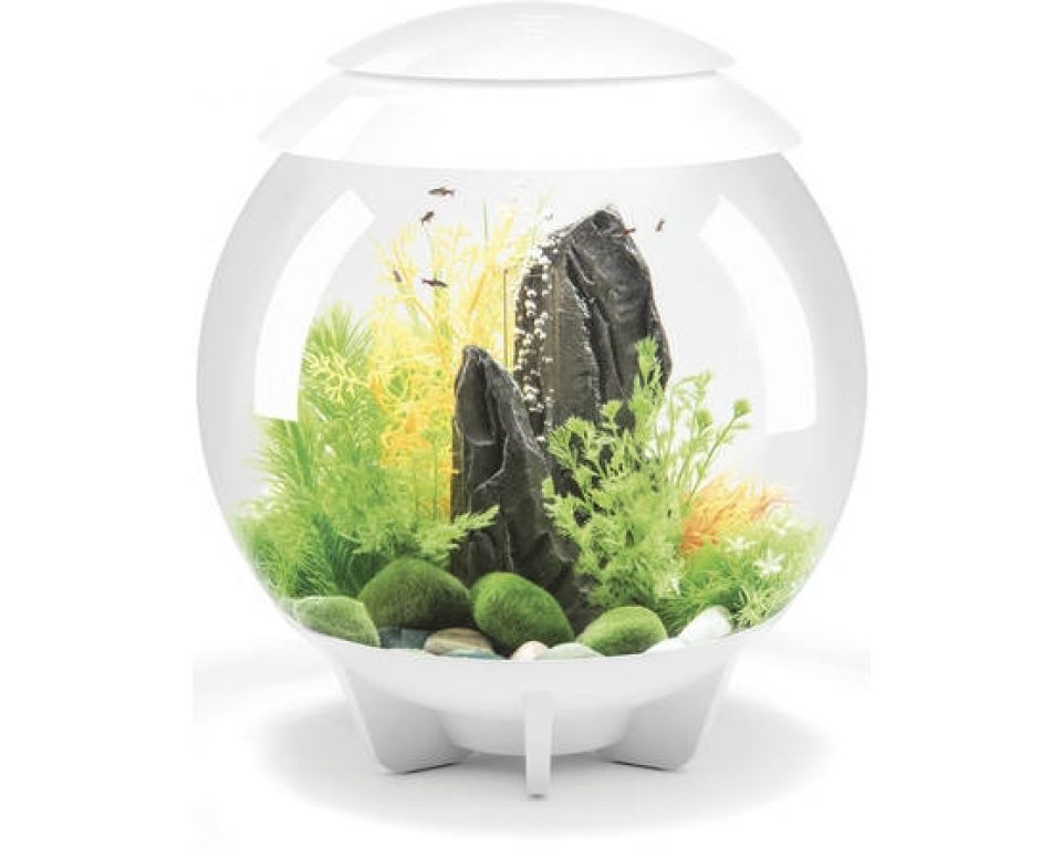 Aquarium biOrb Halo LED 30 Liter Wit