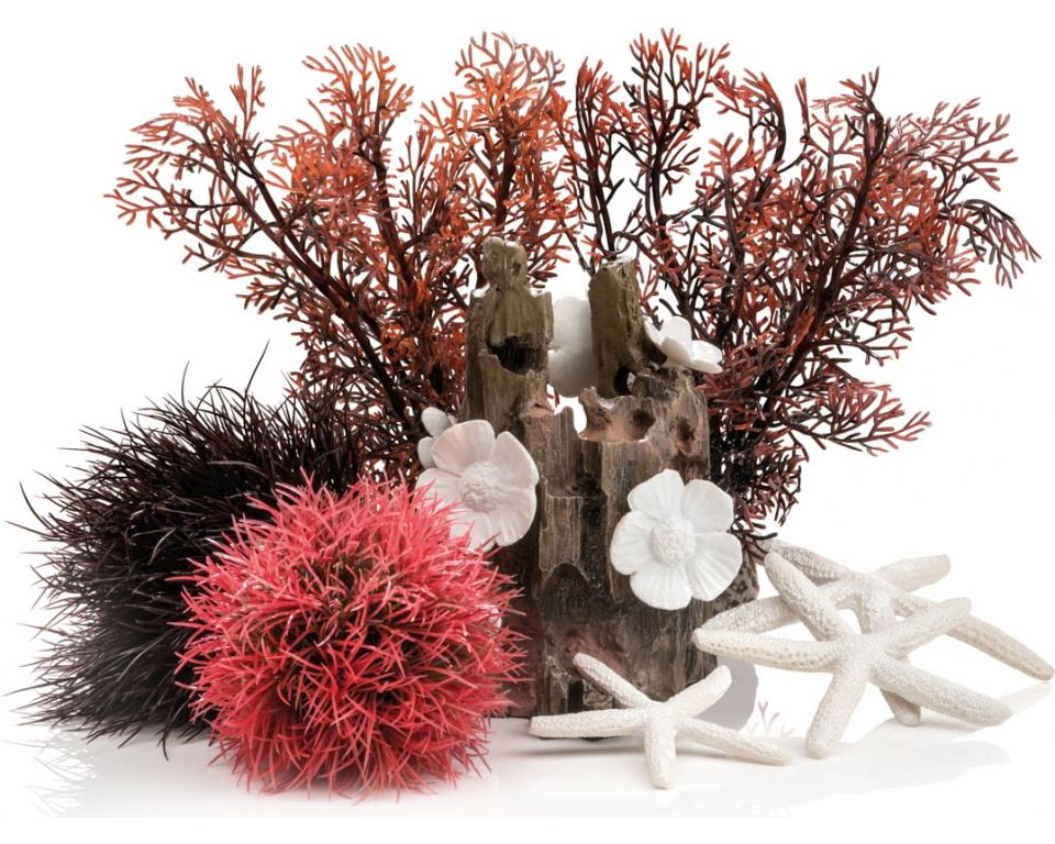 Biorb Easy Decor Kit - Aquarium - Ornament - 15 l Rood