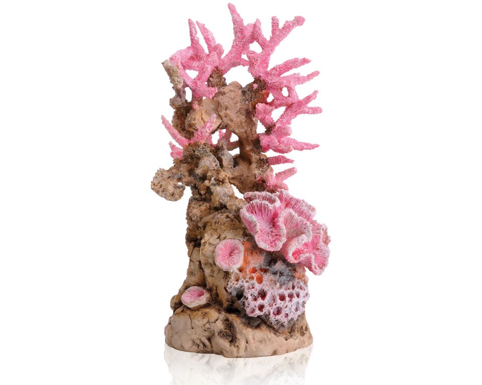 BiOrb koraalrif roze