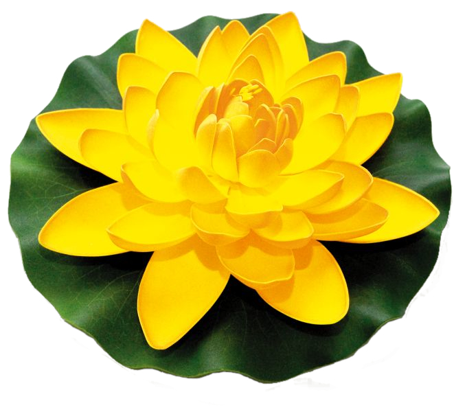 Velda Drijvende Vijverplant Lotus Geel 28 cm