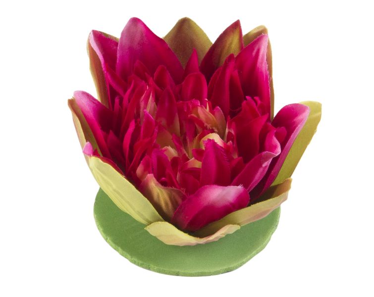 Velda Drijvende Vijverplant Lotus Fuchsia 13 cm