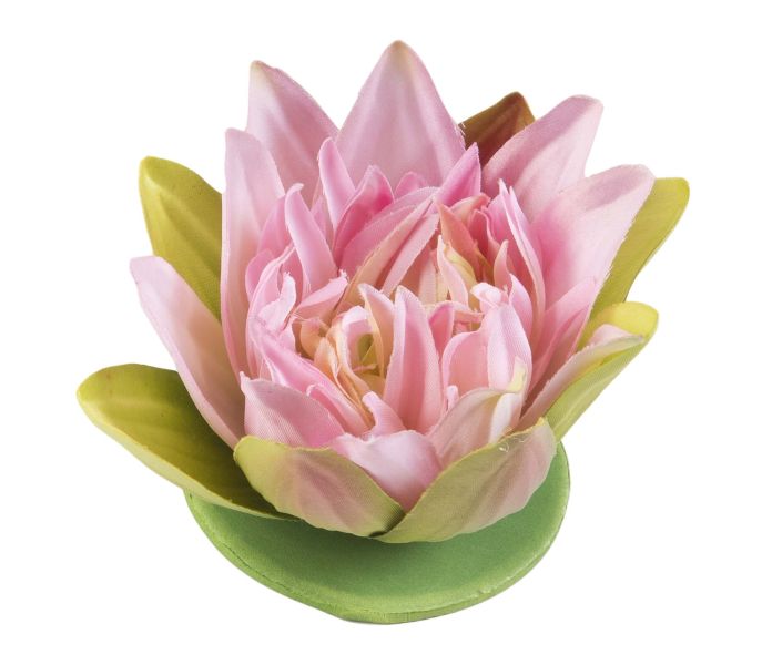 Velda Drijvende Vijverplant Lotus Roze 13 cm