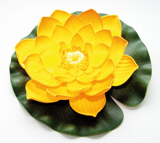 Velda Drijvende Vijverplant Lotus Geel 20 cm