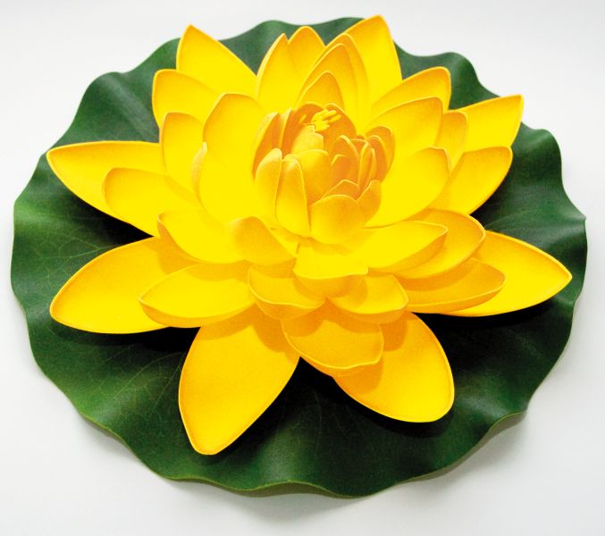 Afbeelding Velda Drijvende Vijverplant Lotus Geel 28 cm door Haxo.nl