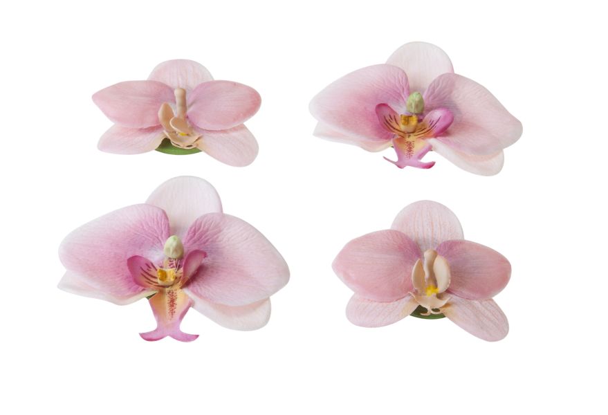 Velda Drijvende Vijverplant Orchidee Roze 7/9 cm - 4 Stuks